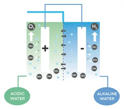 AlkaWater 1